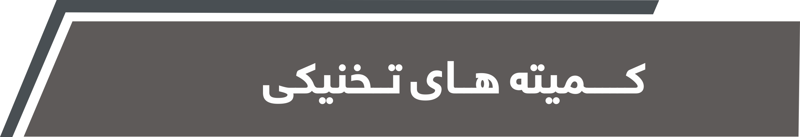 کمیته های تخنیکی